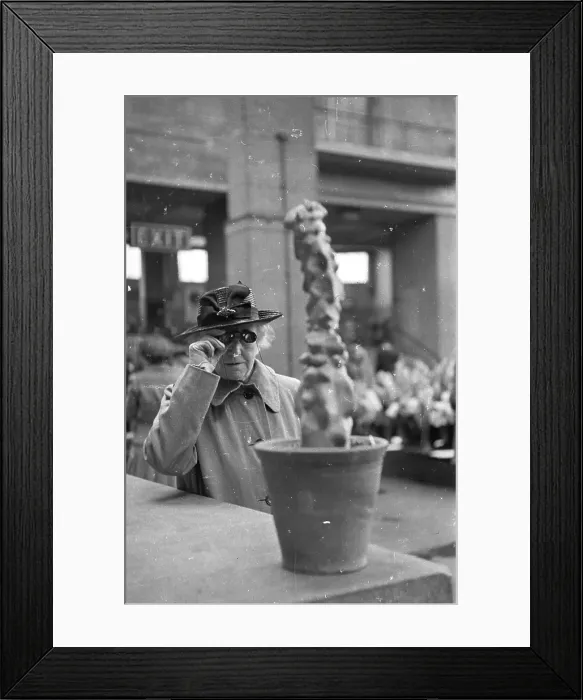 Framed Print : Westminster Cactus Framed Print : Westminster Cactus