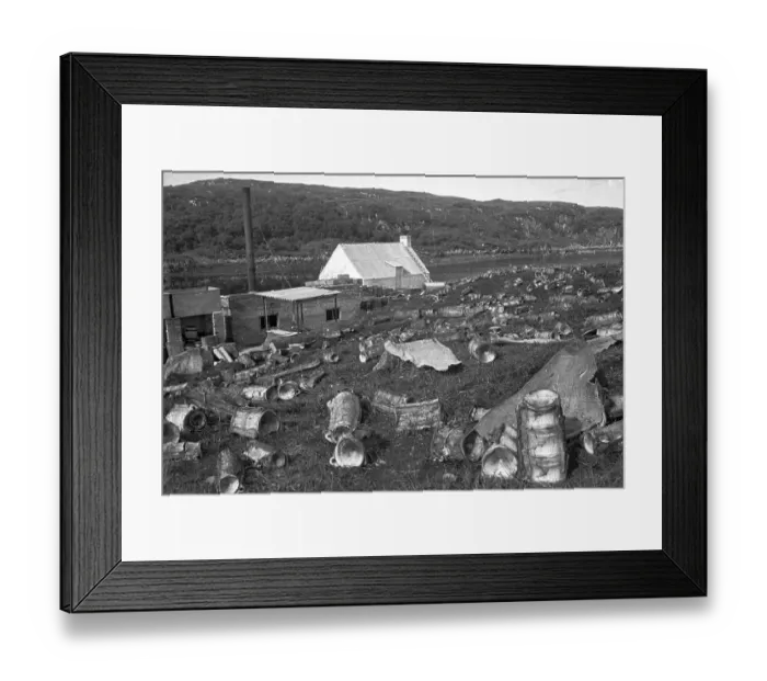 Framed Print : Shark's Cemetery Framed Print : Shark's Cemetery
