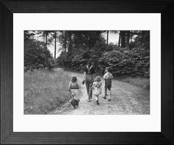 Framed Print : Country Walk Framed Print : Country Walk