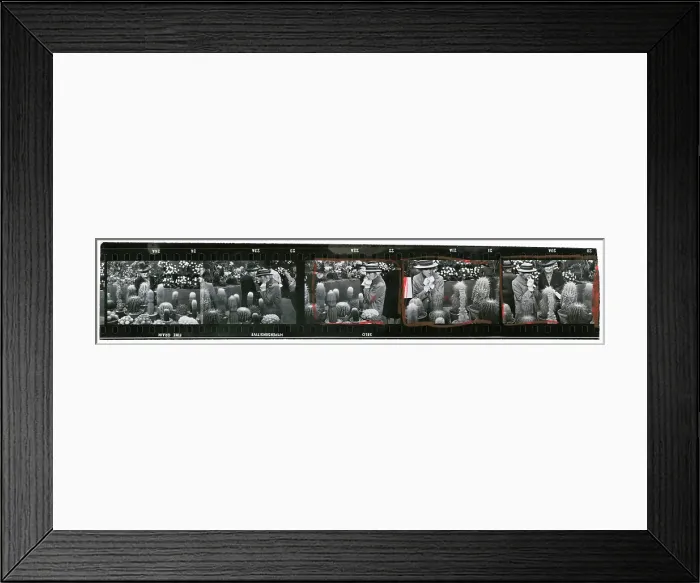 Framed Print : Cactus Hunters Framed Print : Cactus Hunters