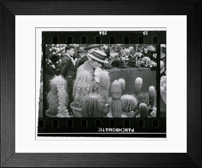 Framed Print : Cactus Hunter Framed Print : Cactus Hunter