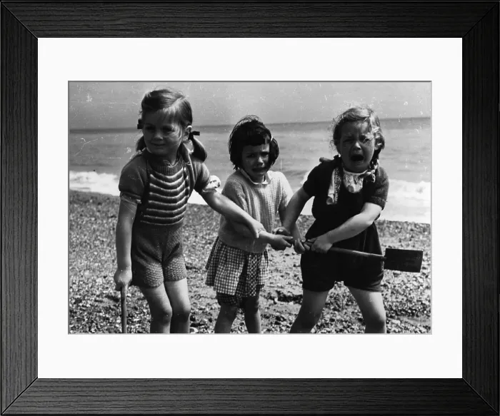 Framed Print : Seaside Squabble Framed Print : Seaside Squabble