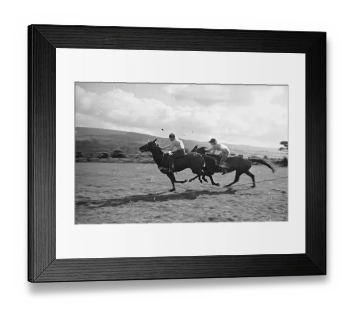 Framed Print : Horse Race