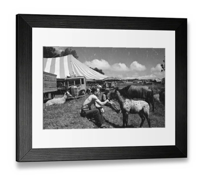 Framed Print : Circus Friends Framed Print : Circus Friends
