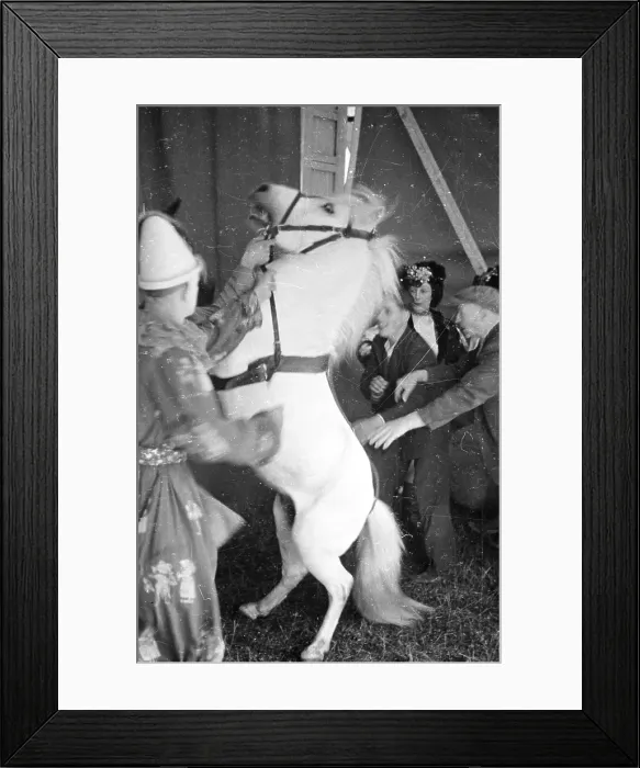 Framed Print : Prima Donna Framed Print : Prima Donna