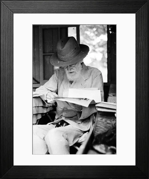 Framed Print : Portraits Of Shaw Framed Print : Portraits Of Shaw