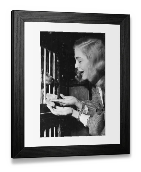 Framed Print : Shaking Hands Framed Print : Shaking Hands