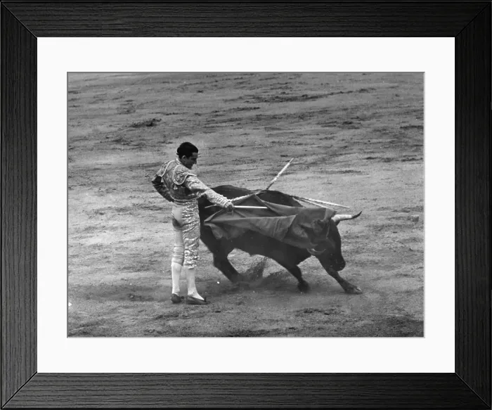 Framed Print : Carrida. 29th June 1946: Juan Belmonte plays a bull with sword and mulata Framed Print : Carrida. 29th June 1946: Juan Belmonte plays a bull with sword and mulata