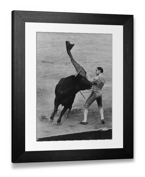 Framed Print : Juan's Son Framed Print : Juan's Son