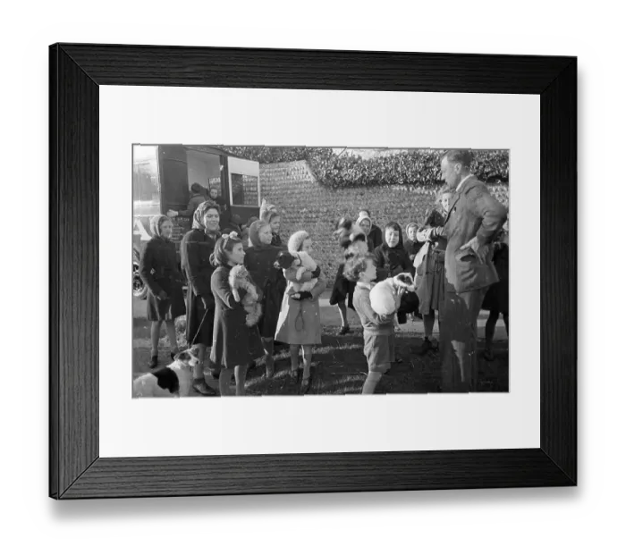 Framed Print : Pet Clinic Framed Print : Pet Clinic
