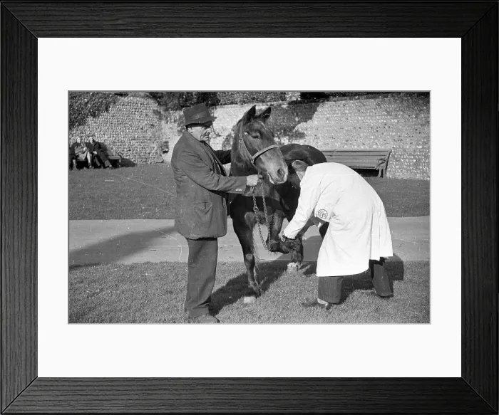 Framed Print : My Foot Hurts Framed Print : My Foot Hurts