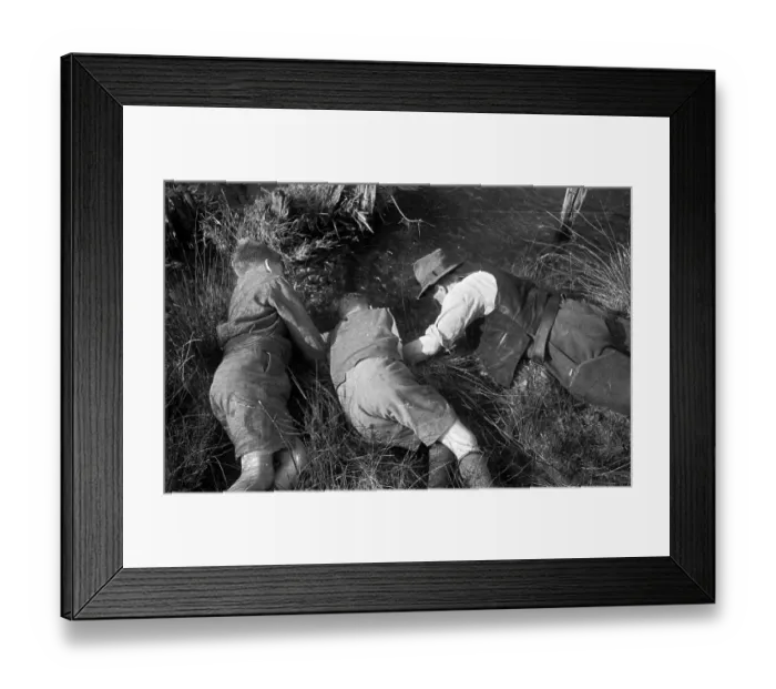 Framed Print : Trout Tickling Framed Print : Trout Tickling