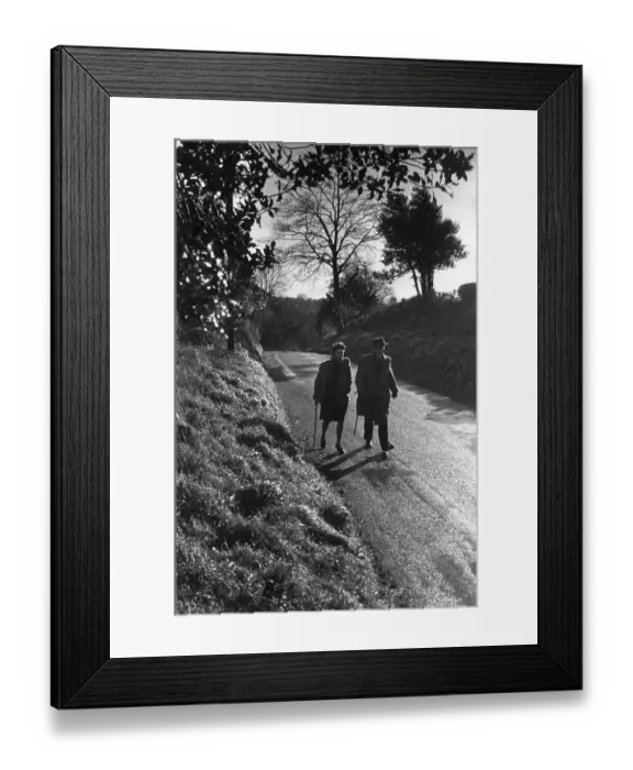 Framed Print : Country Lane Framed Print : Country Lane
