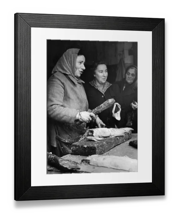 Framed Print : Fresh Today Framed Print : Fresh Today