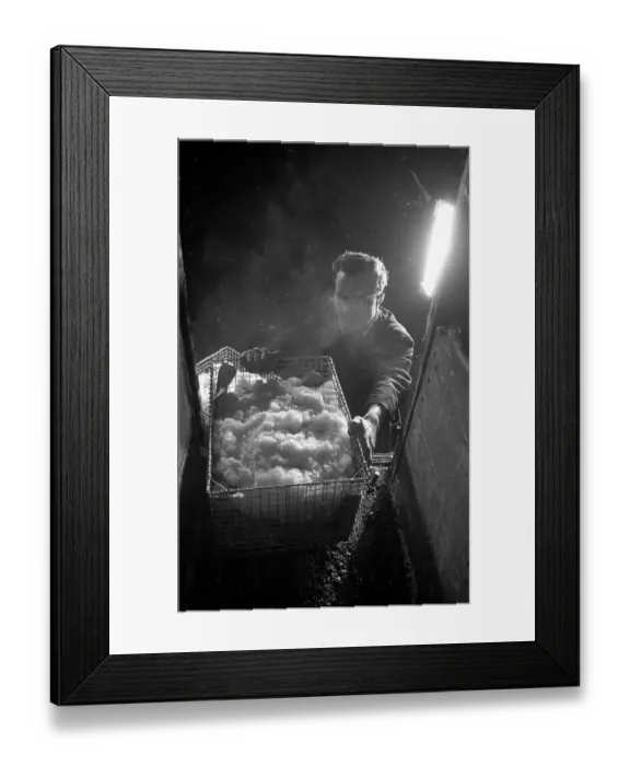 Framed Print : Snow Basket Framed Print : Snow Basket