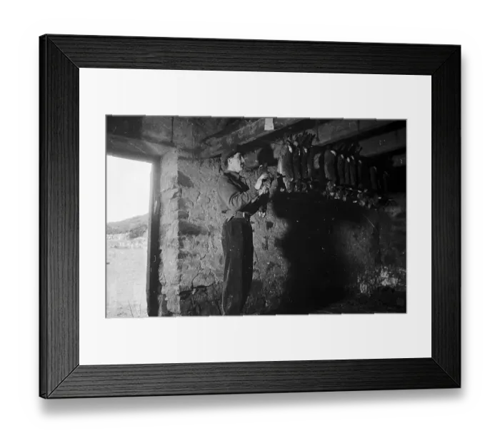 Framed Print : Hanging Rabbits Framed Print : Hanging Rabbits