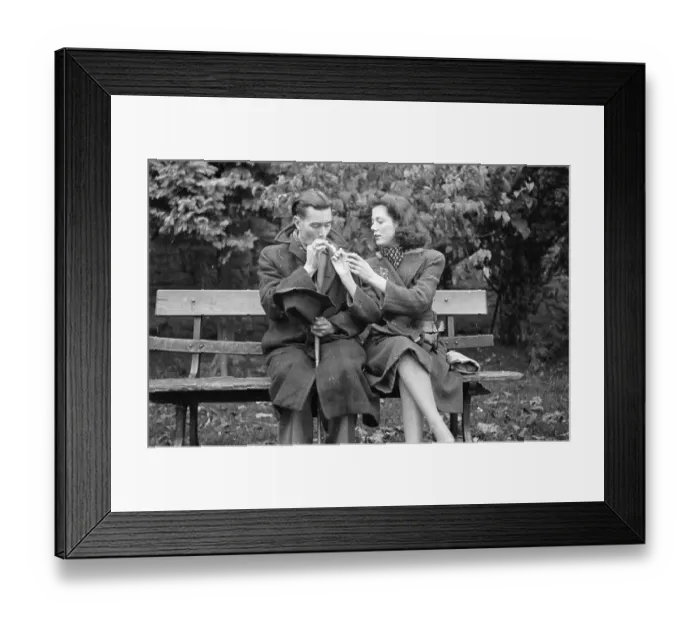 Framed Print : Friends In The Park Framed Print : Friends In The Park