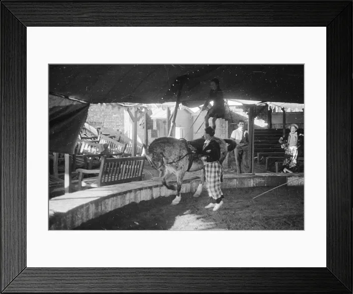 Framed Print : Bare Back Riding Framed Print : Bare Back Riding