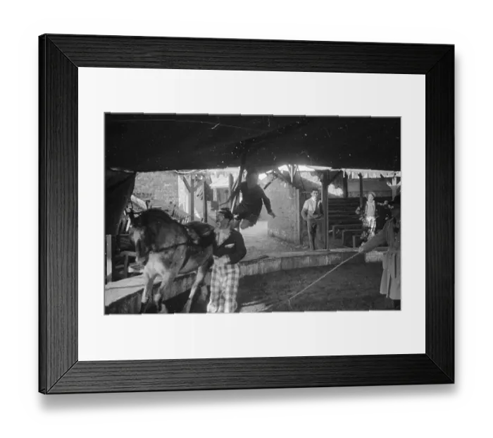 Framed Print : Bare Back Riding Framed Print : Bare Back Riding