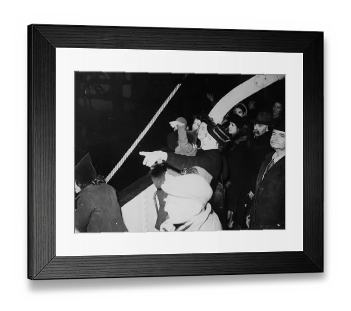 Framed Print : Looking For Land Framed Print : Looking For Land