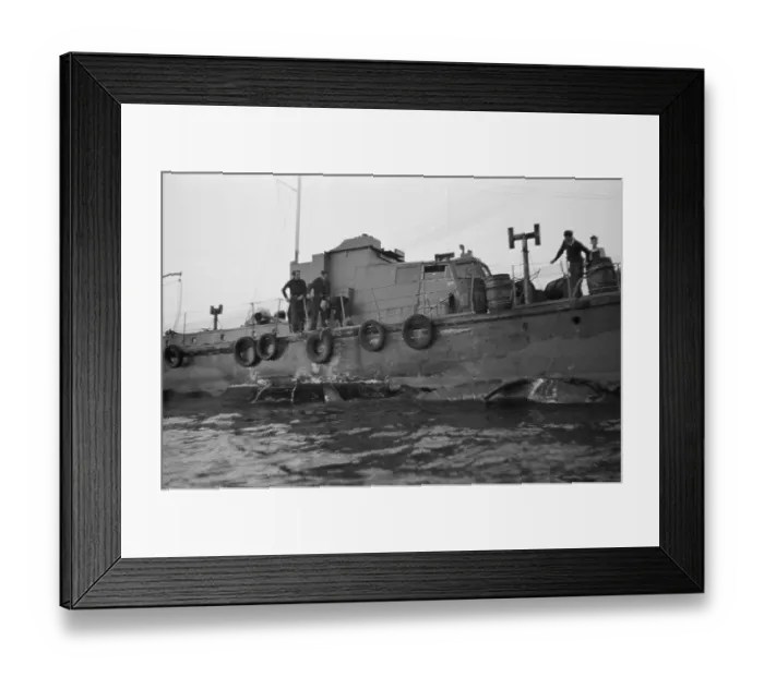 Framed Print : Shark Hunting