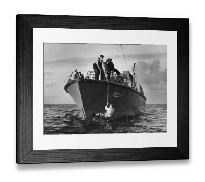 Framed Print : Shark Fishing