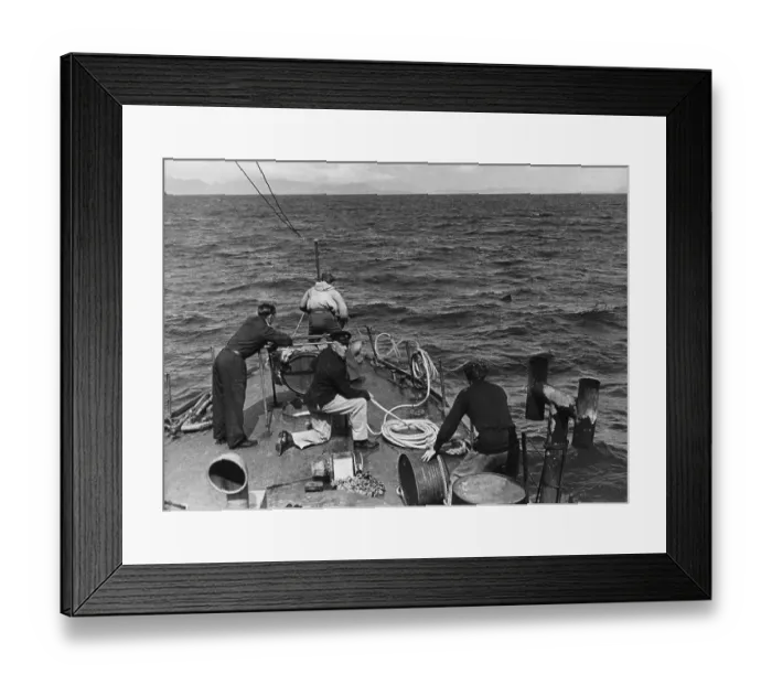 Framed Print : Shark Fishing