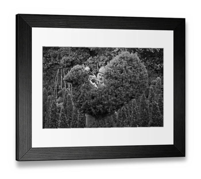 Framed Print : Kew Gardens Framed Print : Kew Gardens