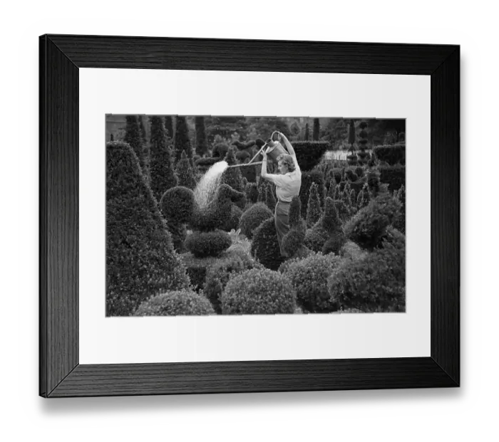 Framed Print : Watering At Kew Framed Print : Watering At Kew