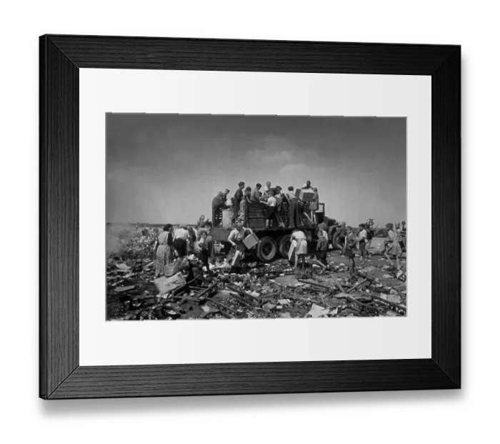 Framed Print : Searching The Tip