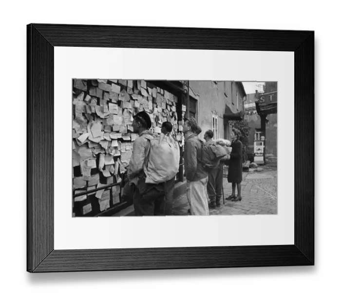 Framed Print : Tracing Relatives Framed Print : Tracing Relatives