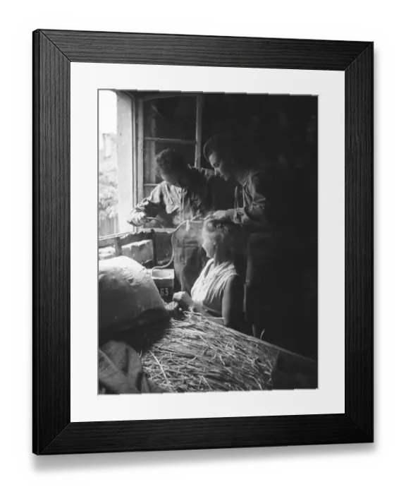 Framed Print : Delousing Woman Framed Print : Delousing Woman