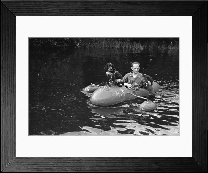 Framed Print : Seafaring Dog Framed Print : Seafaring Dog