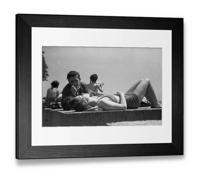 Framed Print : Sunbathing Framed Print : Sunbathing