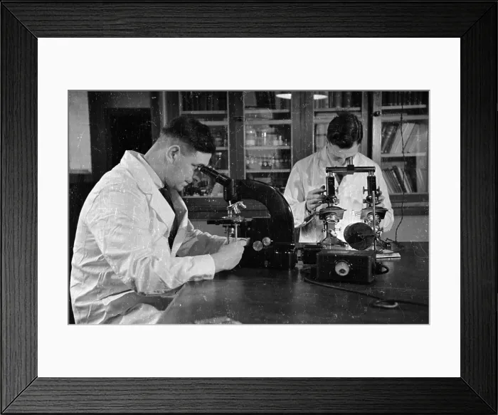 Framed Print : Crime Watch Framed Print : Crime Watch