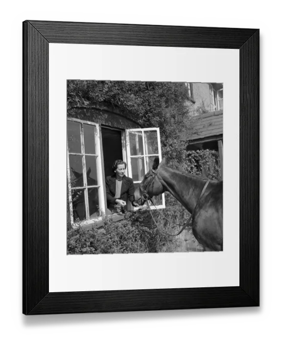 Framed Print : Retired Racehorse Framed Print : Retired Racehorse