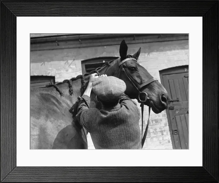 Framed Print : Brown Jack Framed Print : Brown Jack