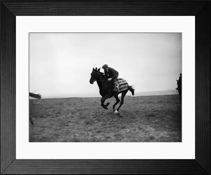 Framed Print : Exercising Dante Framed Print : Exercising Dante