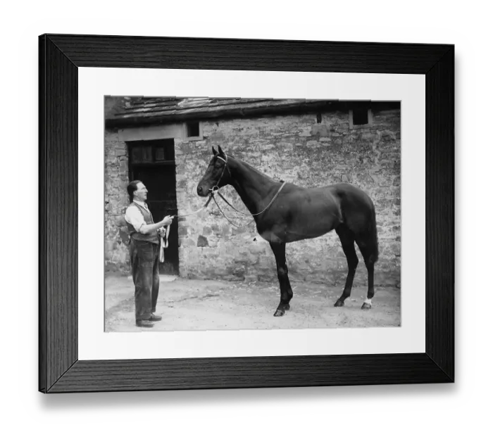 Framed Print : Derby Winner Framed Print : Derby Winner
