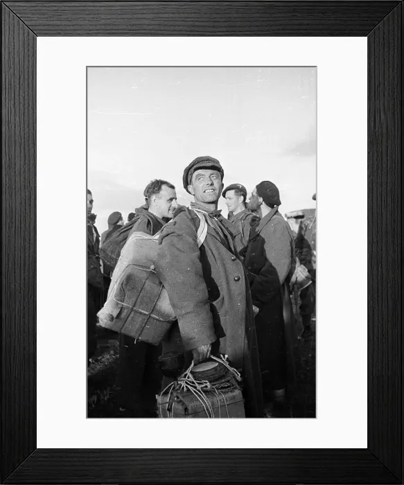 Framed Print : Inspecting The Skies Framed Print : Inspecting The Skies