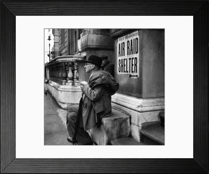 Framed Print : Sitting By Shelter Framed Print : Sitting By Shelter