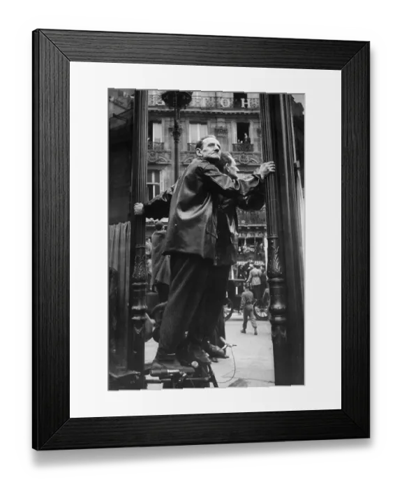 Framed Print : Getting A Better View Framed Print : Getting A Better View