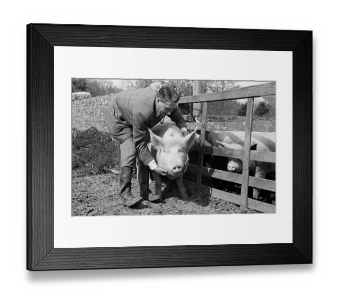 Framed Print : Good Luck Hug Framed Print : Good Luck Hug