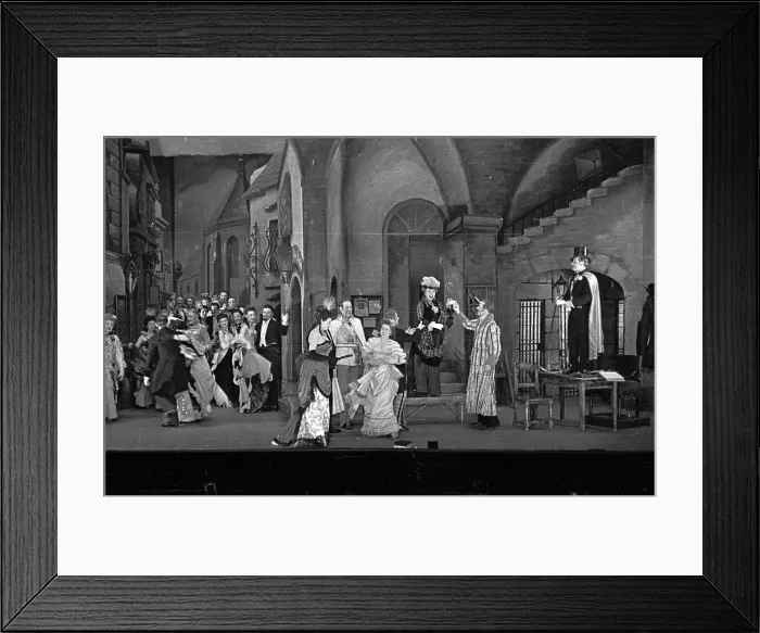 Framed Print : Die Fledermaus Framed Print : Die Fledermaus