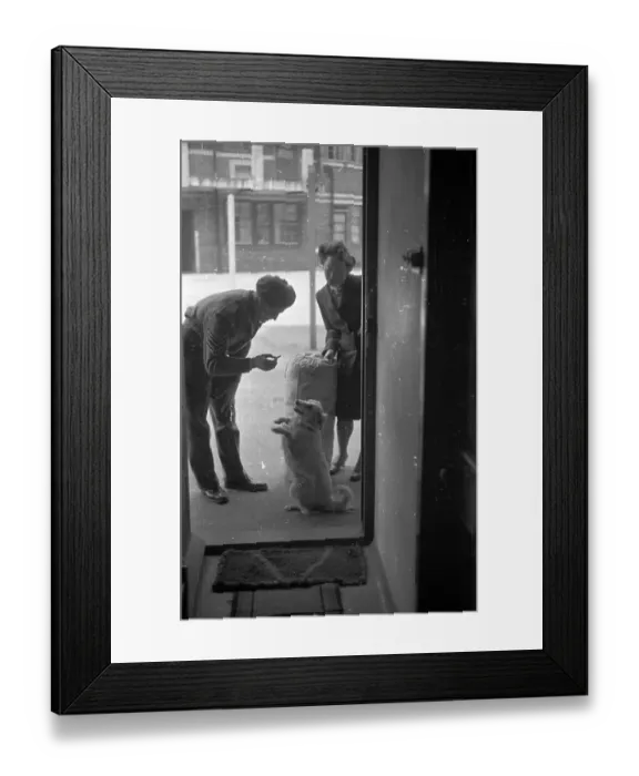 Framed Print : Welcome Home Dog Framed Print : Welcome Home Dog