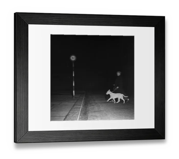 Framed Print : Ghost Dog. 31st March 1945: A motorist's headlights illuminate a pedestrian Framed Print : Ghost Dog. 31st March 1945: A motorist's headlights illuminate a pedestrian