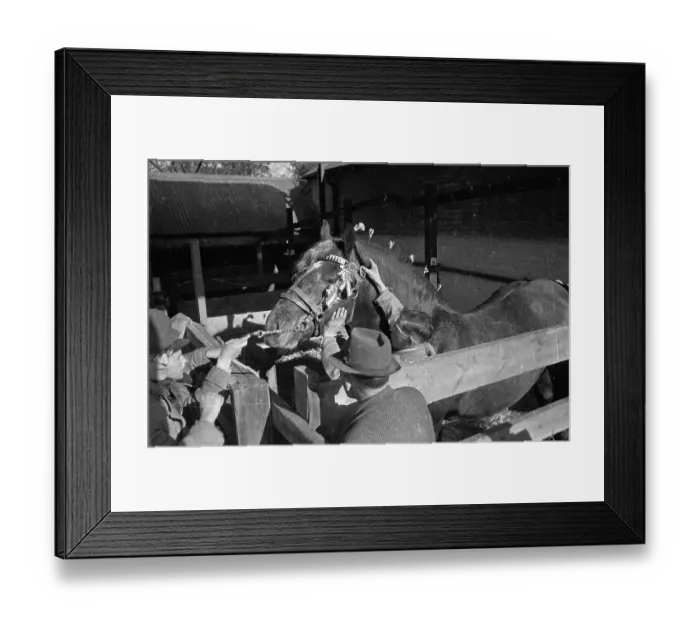 Framed Print : Canewdon Unique Framed Print : Canewdon Unique