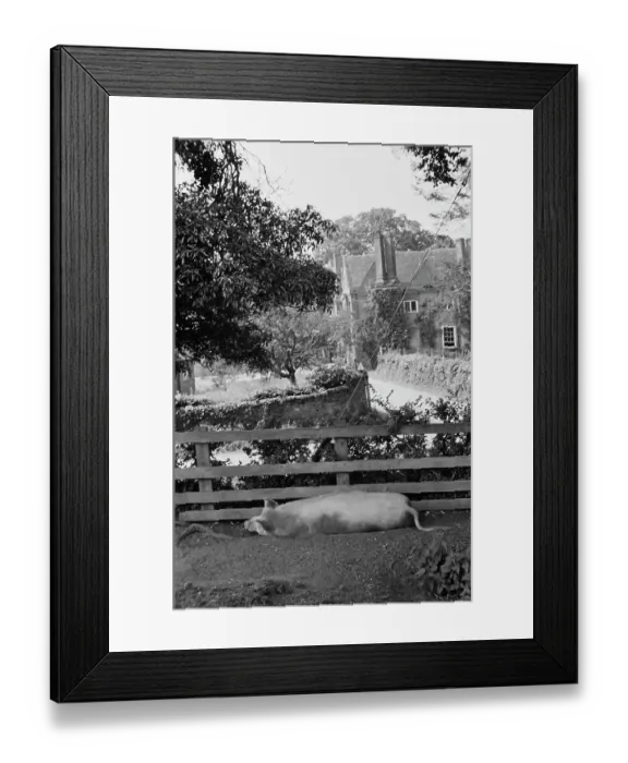 Framed Print : A Cottage With Pig Framed Print : A Cottage With Pig