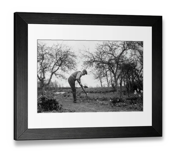 Framed Print : Gardening In Aldworth Framed Print : Gardening In Aldworth