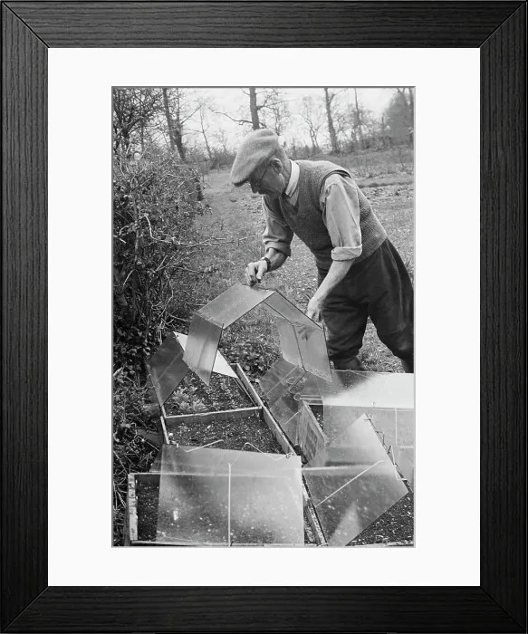 Framed Print : Gardening In Aldworth